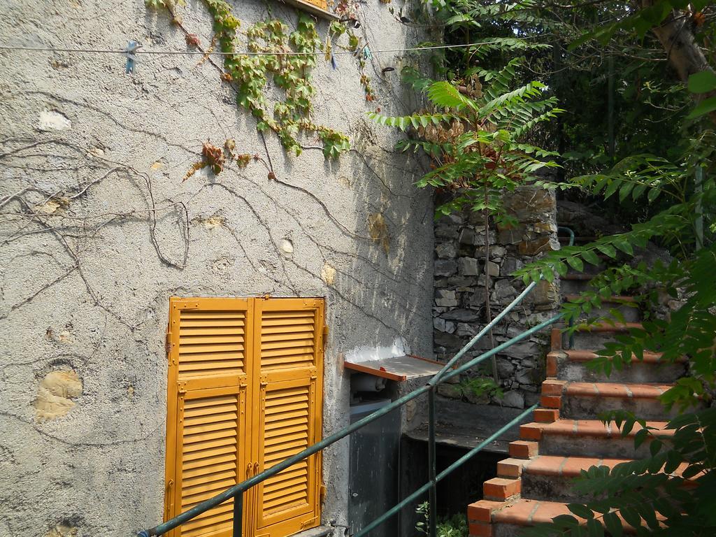 Chalet Villa Ornella Janov Exteriér fotografie