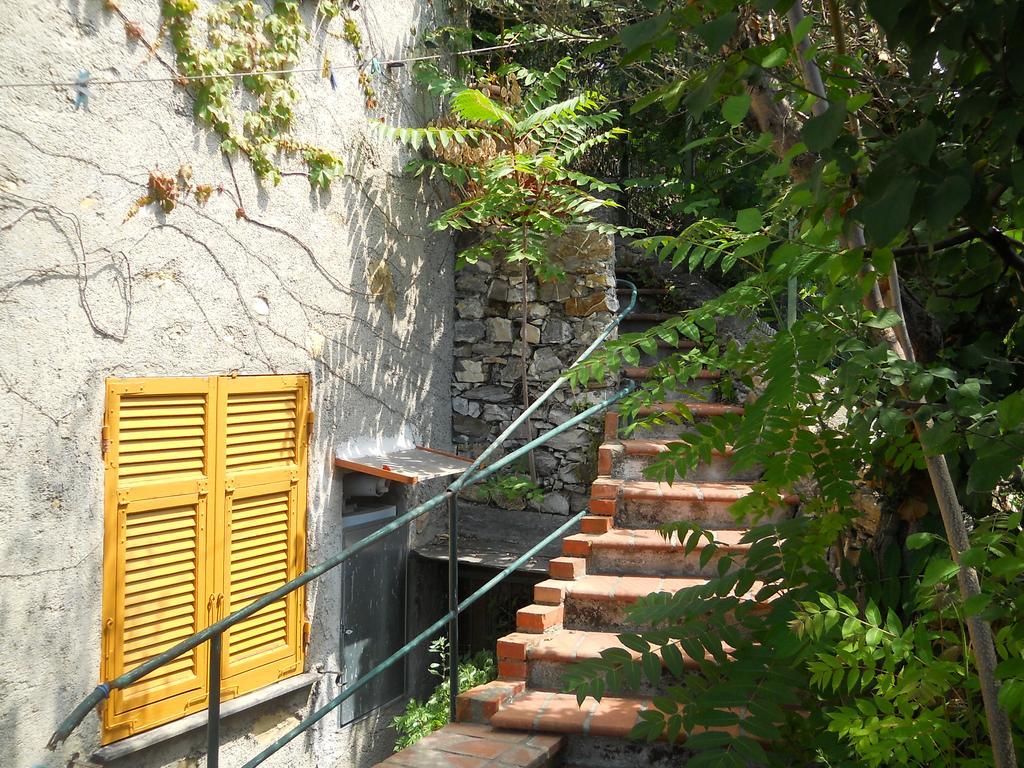 Chalet Villa Ornella Janov Exteriér fotografie